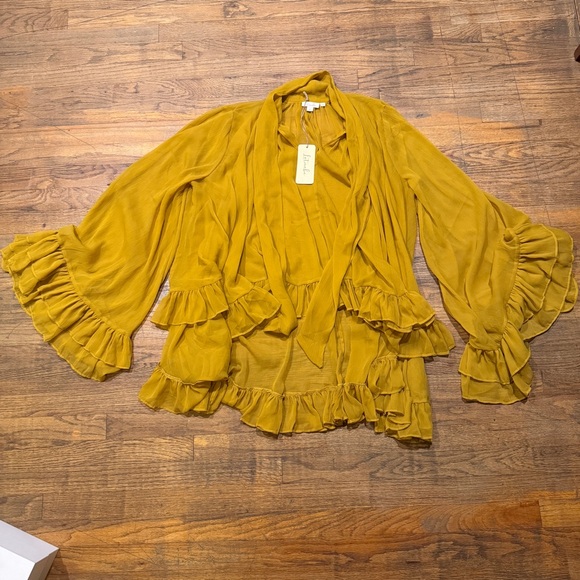 Let Me Be Sheer Tie-Neck Ruffle Blouse - Gold - New with Tags - Picture 2 of 7